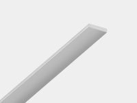 Алюминиевая анодированная полоса SWG PRO, 2000х10х2, SF-102 (00-00026459, SWG Standard)