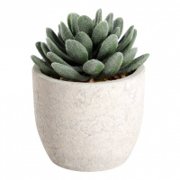 Растение в горшке Eglo Chitose 428011